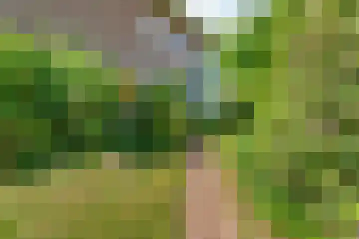 Joris van der Haagenlaan 11 Arnhem thumbnail 5