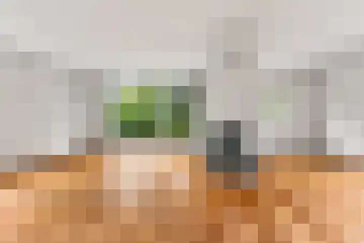 Joris van der Haagenlaan 11 Arnhem thumbnail 8