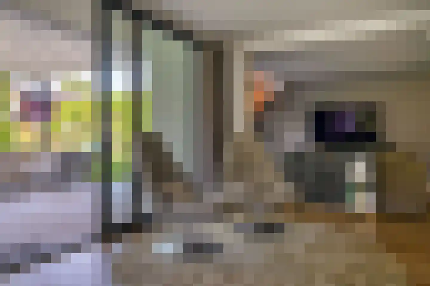 Joris van der Haagenlaan 12 Arnhem thumbnail 23
