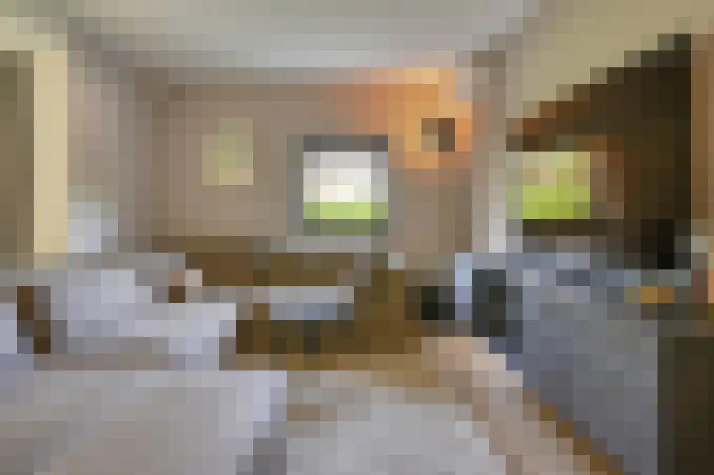 Joris van der Haagenlaan 12 Arnhem thumbnail 26