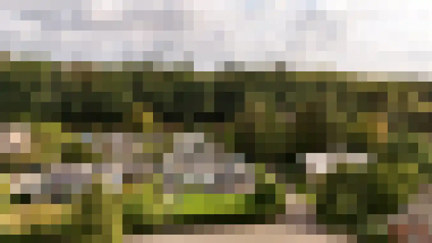 Joris van der Haagenlaan 12 Arnhem thumbnail 54