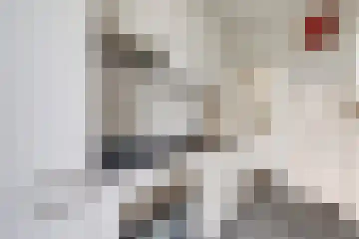 Joris van der Haagenstraat 1 Den Haag thumbnail 14