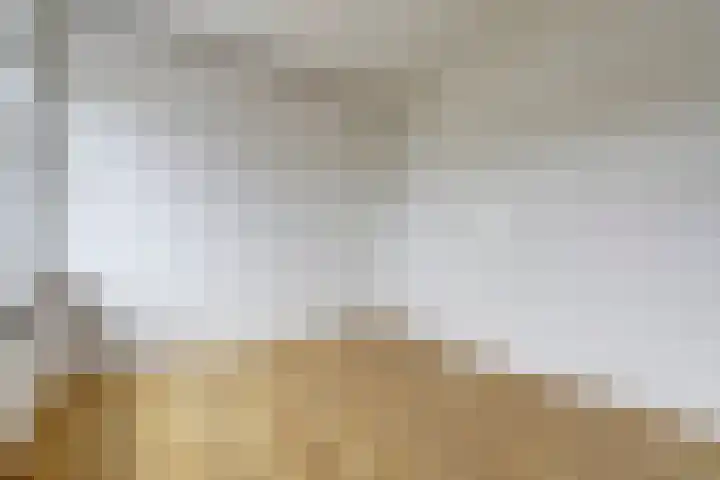 Joris van der Haagenstraat 1 Den Haag thumbnail 16