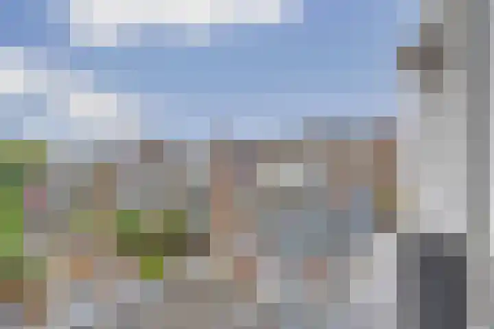 Joris van der Haagenstraat 1 Den Haag thumbnail 22