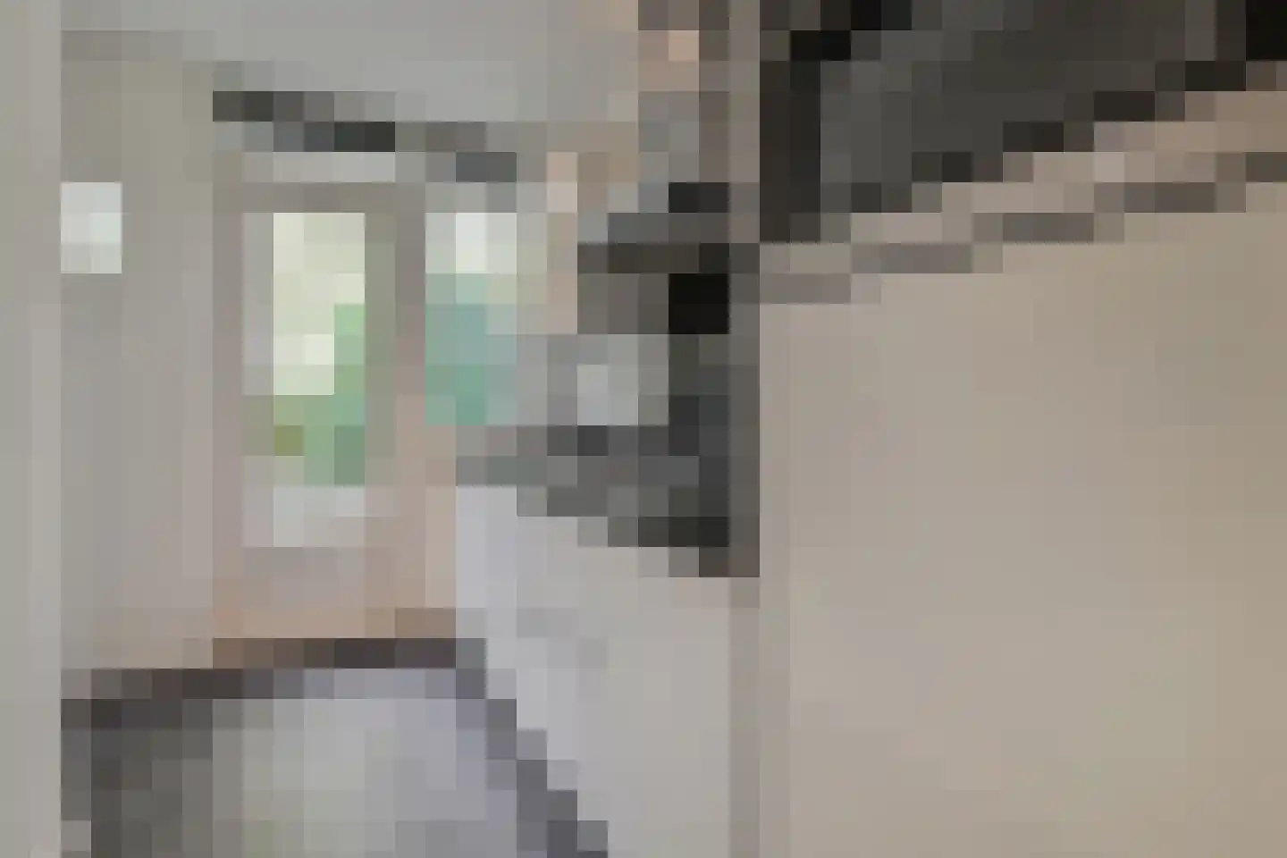 Joris van der Haagenstraat 31 Den Haag thumbnail 12
