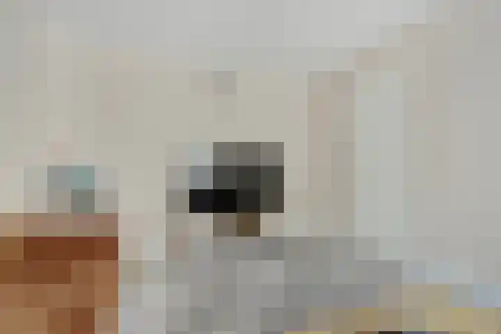 Joris van der Haagenstraat 64 Den Haag thumbnail 12