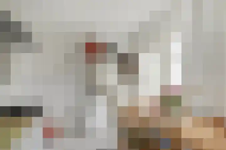 Joris van der Haagenstraat 64 Den Haag thumbnail 18