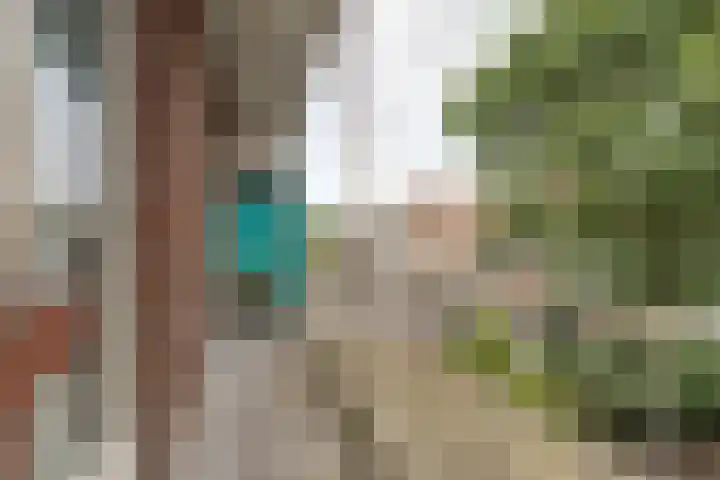 Joris van der Haagenstraat 64 Den Haag thumbnail 21