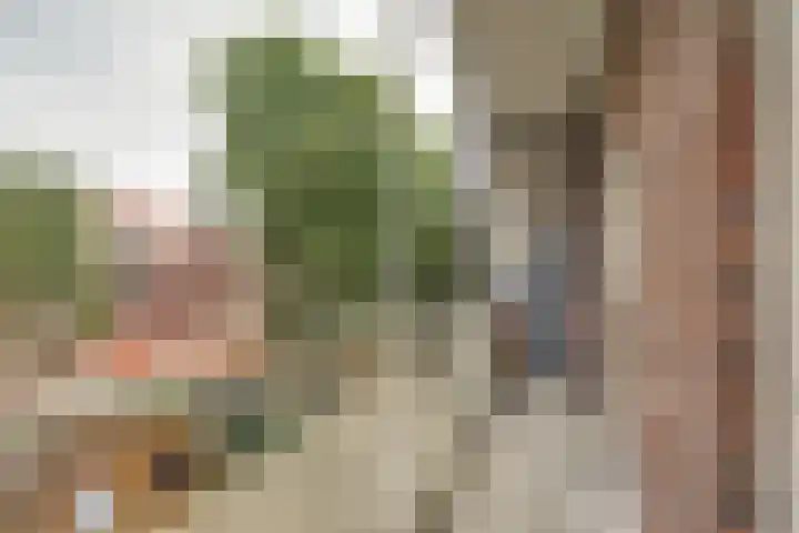 Joris van der Haagenstraat 64 Den Haag thumbnail 22