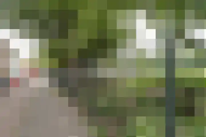 Joris van der Haagenstraat 64 Den Haag thumbnail 4