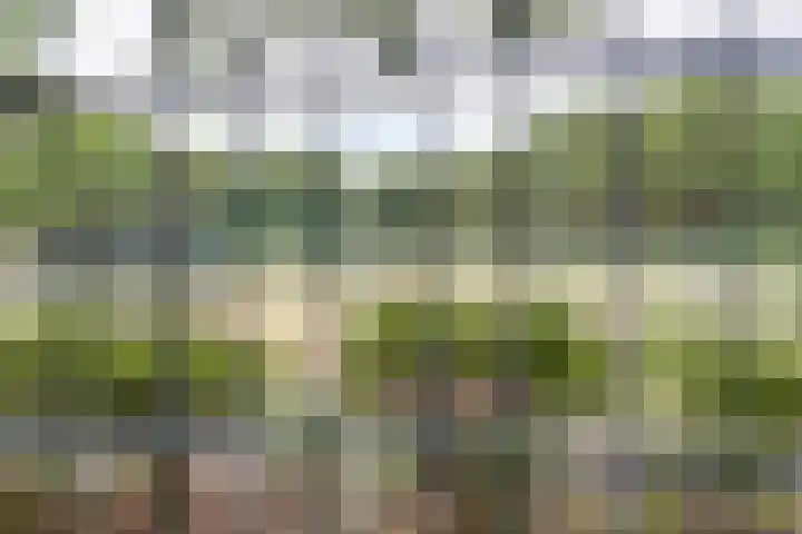 Joris van der Haagenstraat 64 Den Haag thumbnail 5