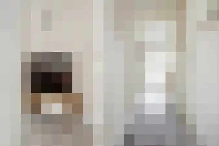 Joris van der Haagenstraat 64 Den Haag thumbnail 6