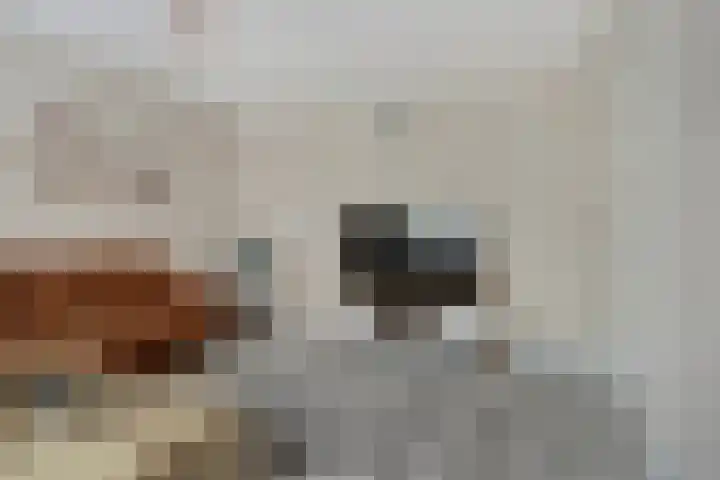 Joris van der Haagenstraat 64 Den Haag thumbnail 9