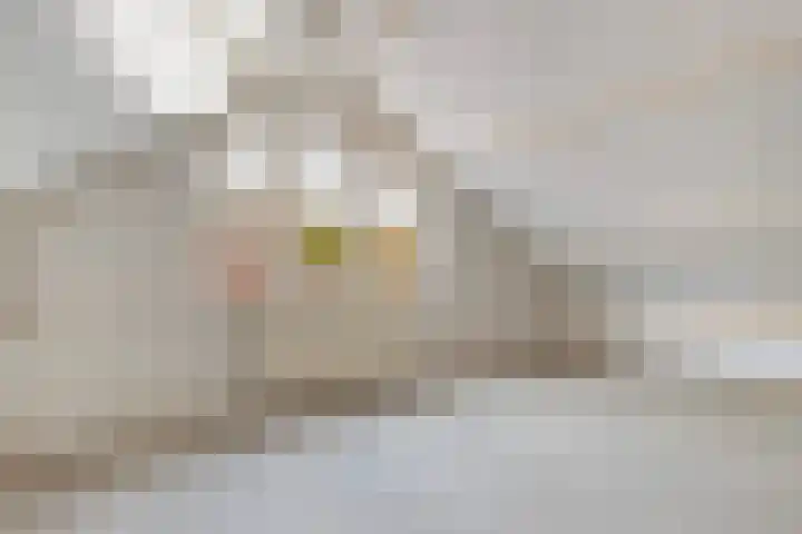Joris van Spilbergenlaan 7 Gouda thumbnail 34