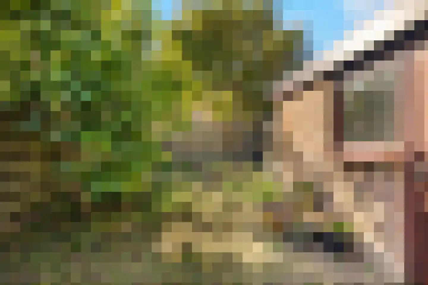 Joris van Spilbergenstraat 22 Den Helder thumbnail 10