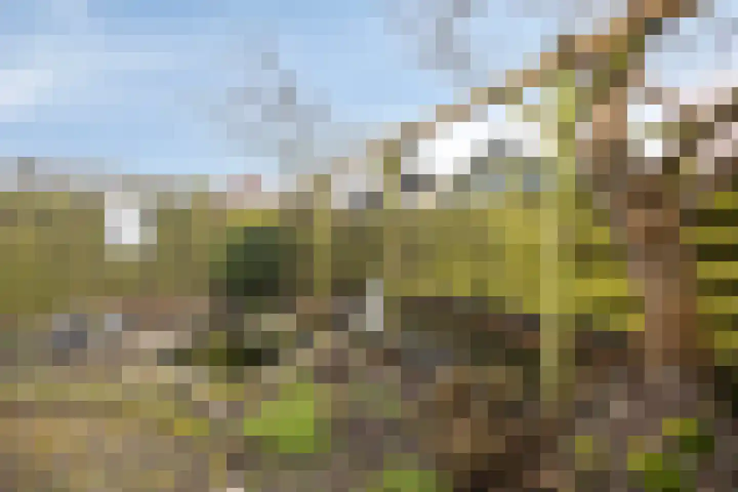 Joris van Spilbergenstraat 22 Den Helder thumbnail 20