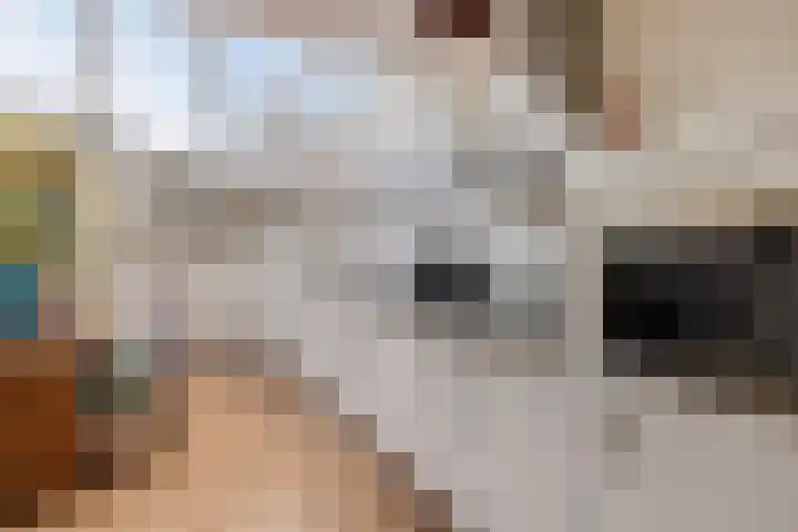 Joris van Spilbergenstraat 31 Den Helder thumbnail 11