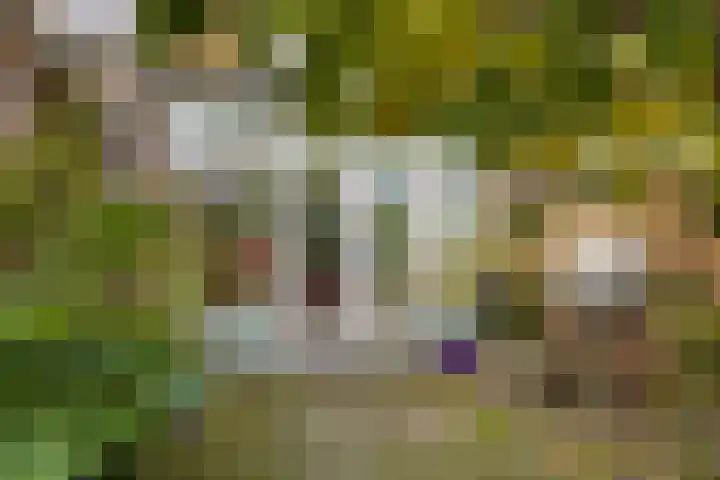 Joris van Spilbergenstraat 31 Den Helder thumbnail 24