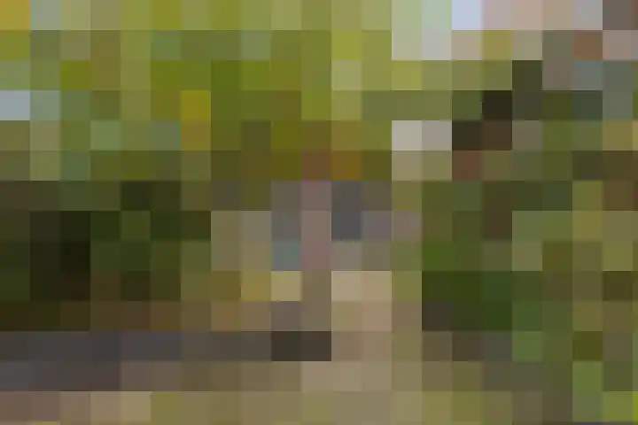 Joris van Spilbergenstraat 31 Den Helder thumbnail 26