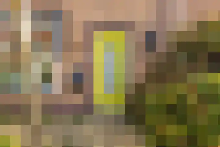 Joris van Spilbergenstraat 31 Den Helder thumbnail 29