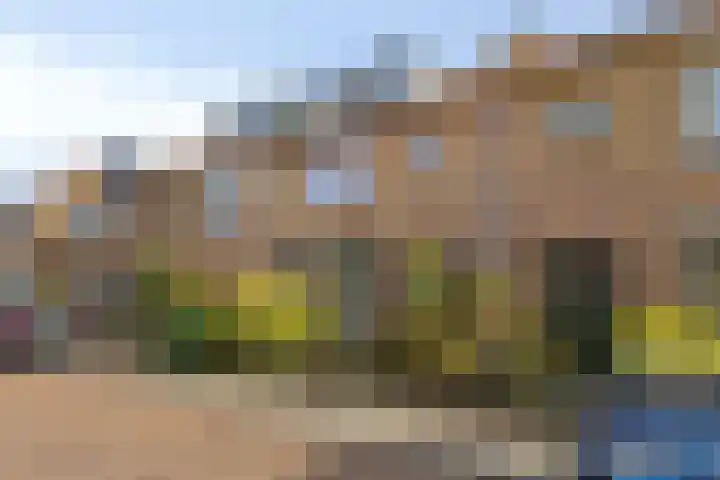 Joris van Spilbergenstraat 31 Den Helder thumbnail 30
