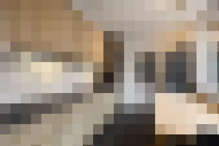 Joris van Spilbergenstraat 34 Den Helder thumbnail 9