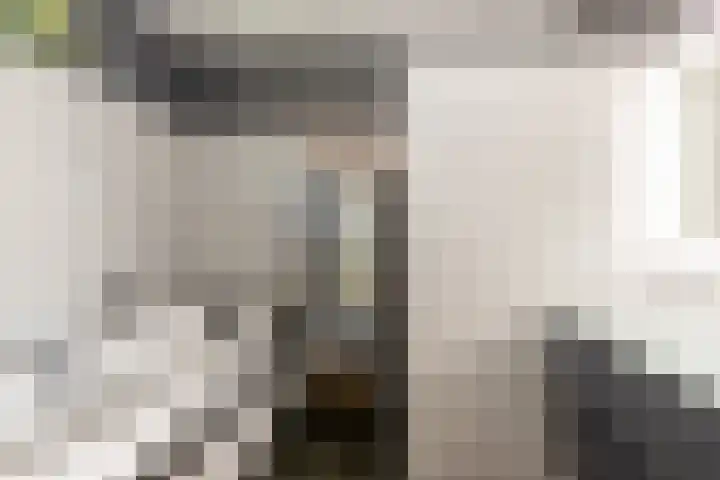 Jorisakkerstraat 6 a Helvoirt thumbnail 14