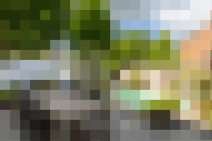 Jorisakkerstraat 6 a Helvoirt thumbnail 33