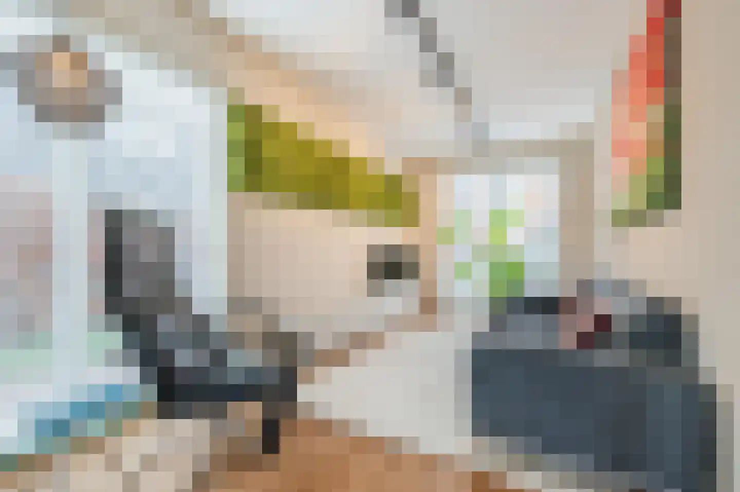 Jorishoeve 13 Veghel thumbnail 15