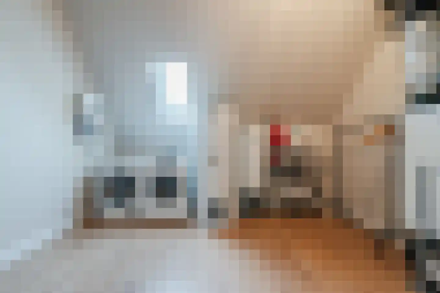 Jorishoeve 13 Veghel thumbnail 28