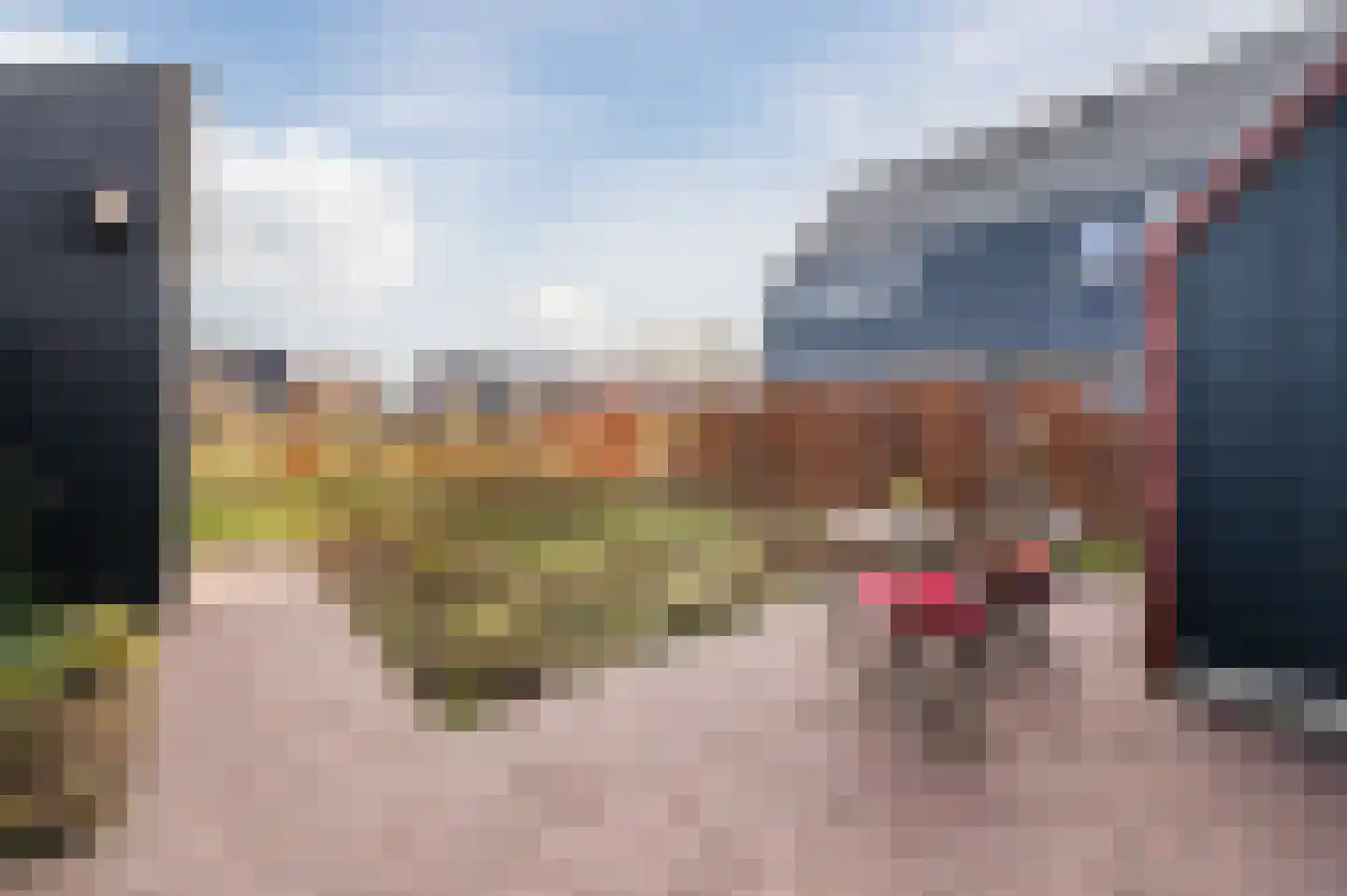 Jorishoeve 13 Veghel thumbnail 31