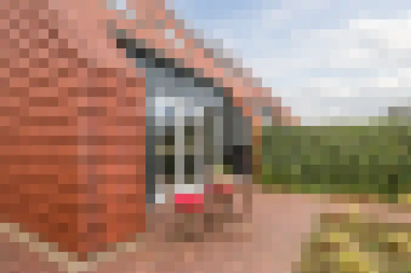 Jorishoeve 13 Veghel thumbnail 33