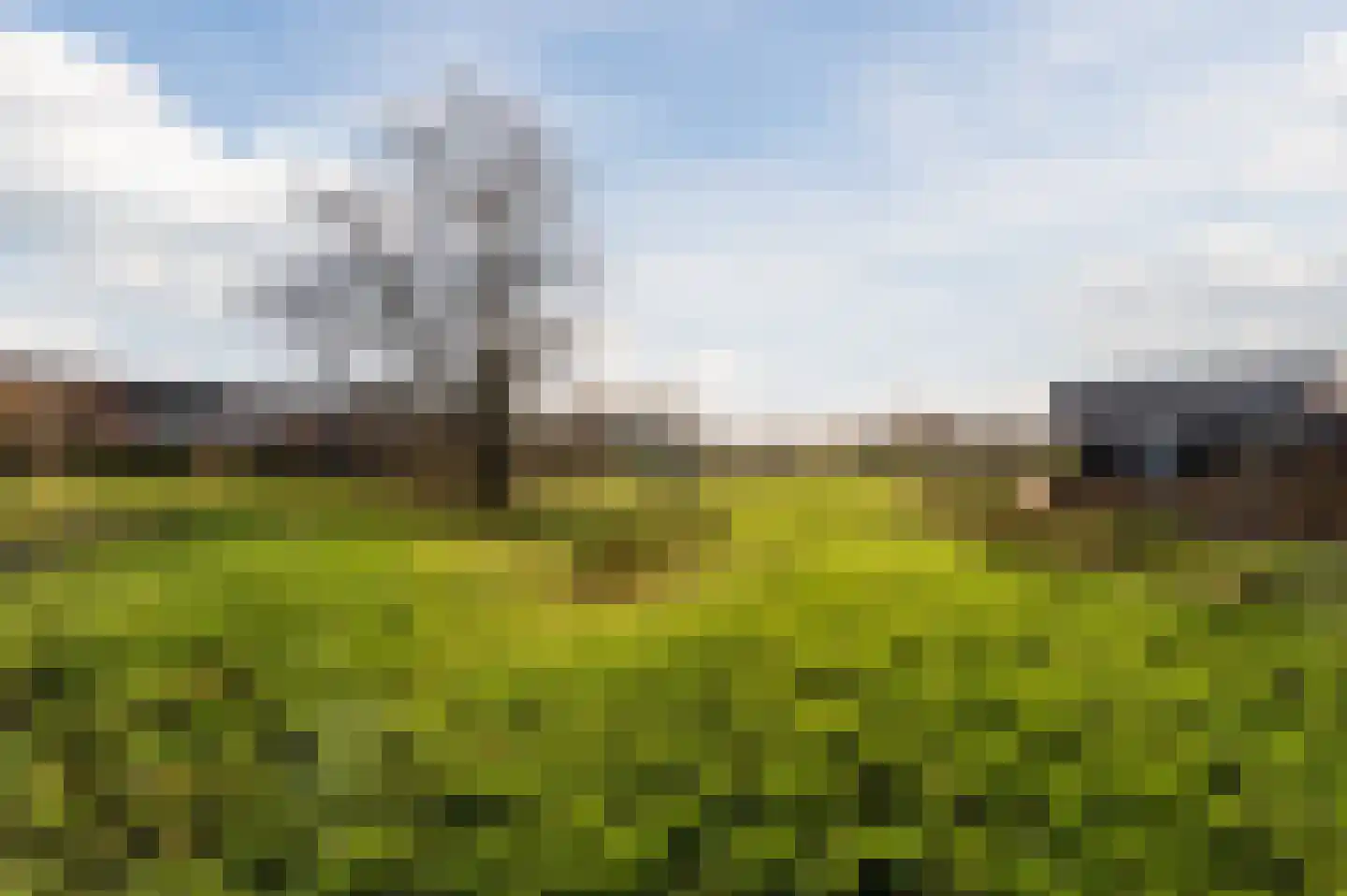 Jorishoeve 13 Veghel thumbnail 45