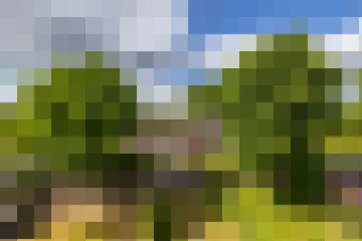 Jorissenweg 18 Haren Gn thumbnail 24
