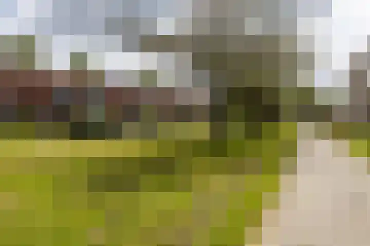 Jorissenweg 18 Haren Gn thumbnail 6