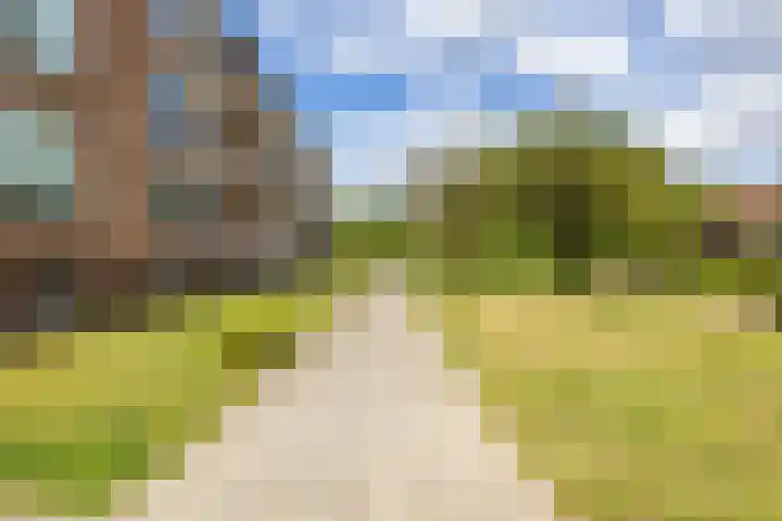 Jorissenweg 18 Haren Gn thumbnail 8