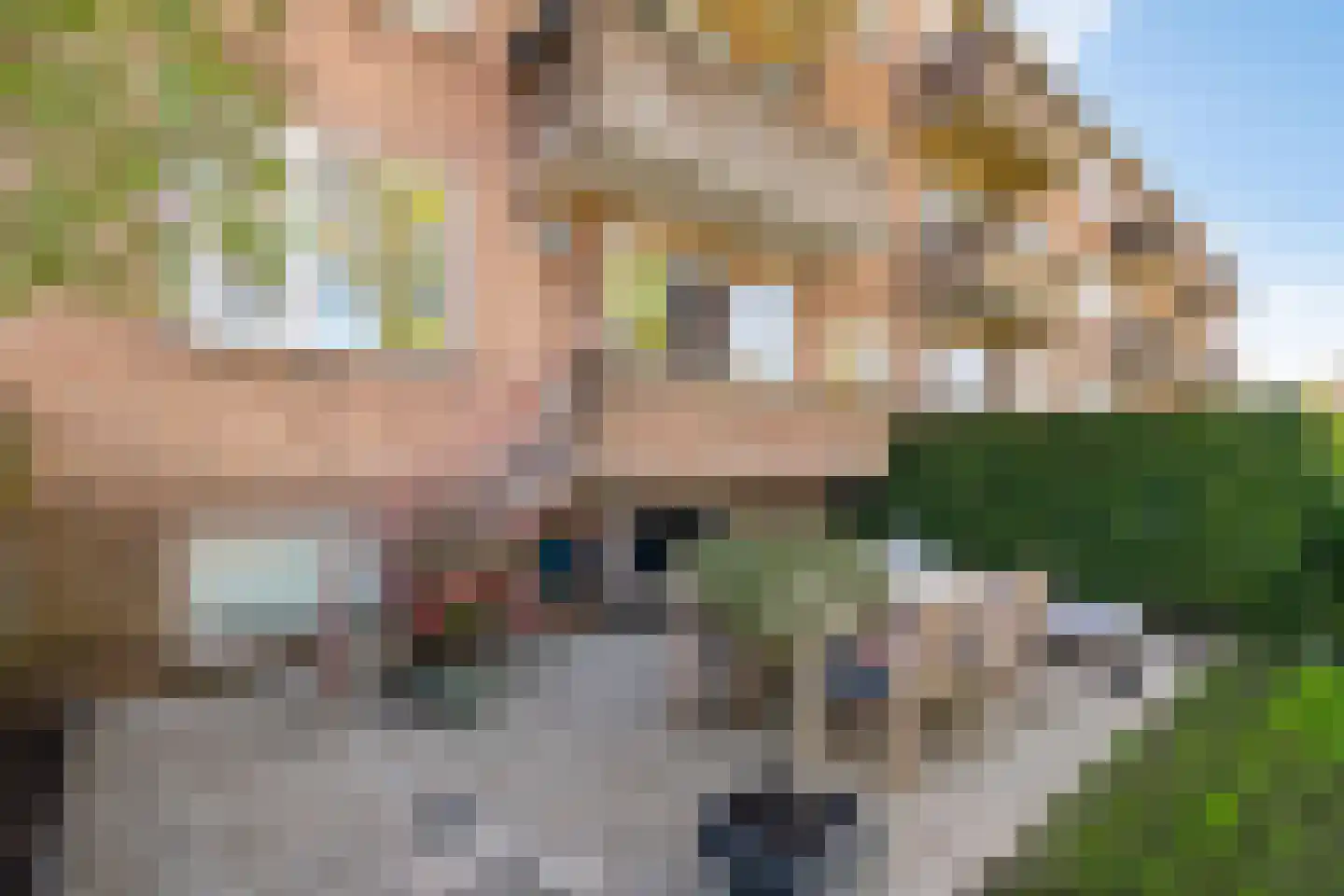 Jorissenweg 26 Haren Gn thumbnail 30