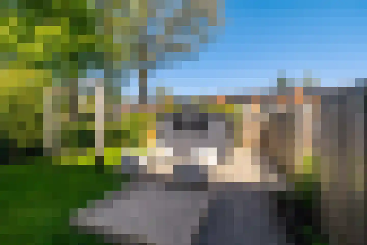 Jorissenweg 26 Haren Gn thumbnail 32