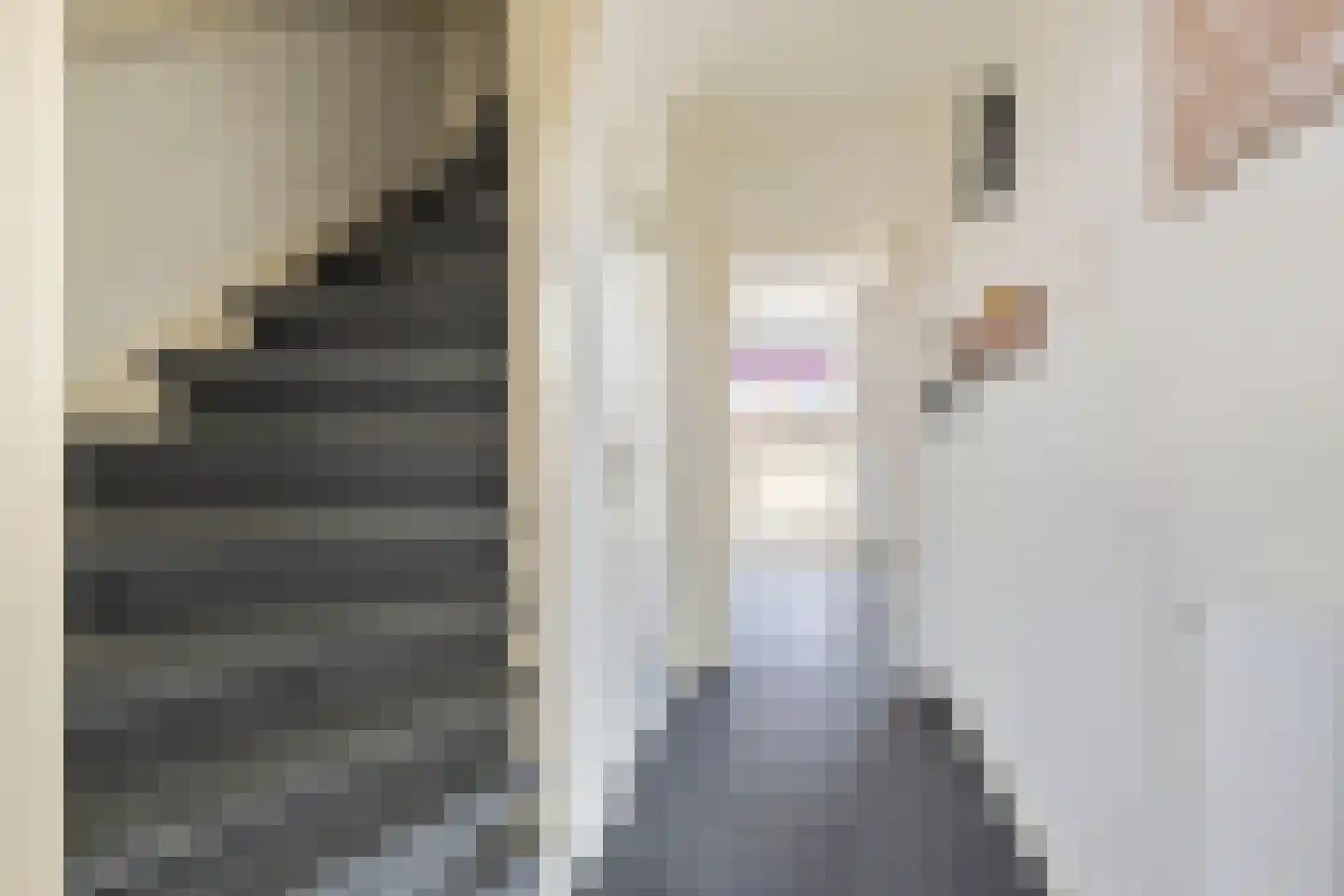 Jorisstraat 39 Breda thumbnail 13