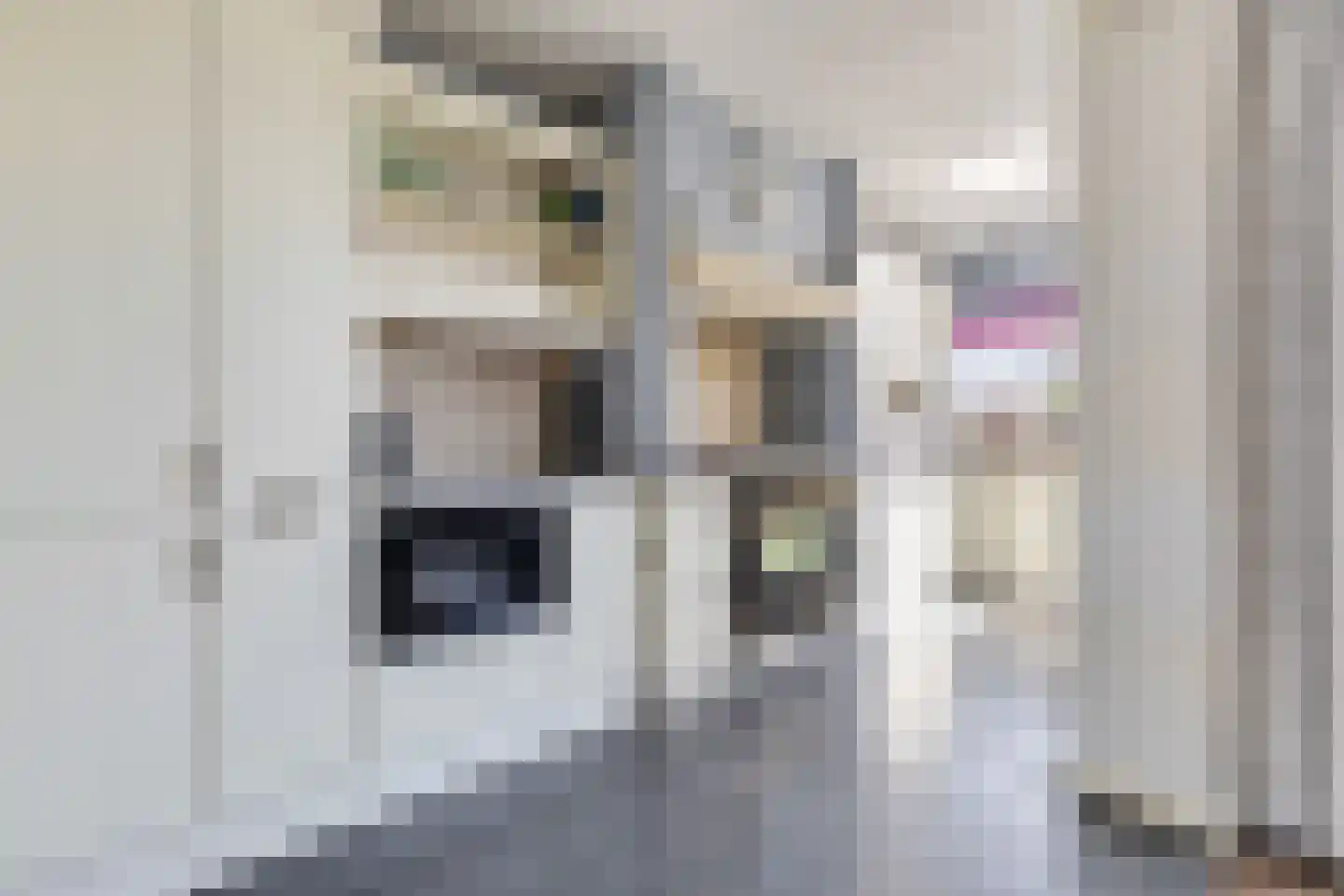 Jorisstraat 39 Breda thumbnail 27