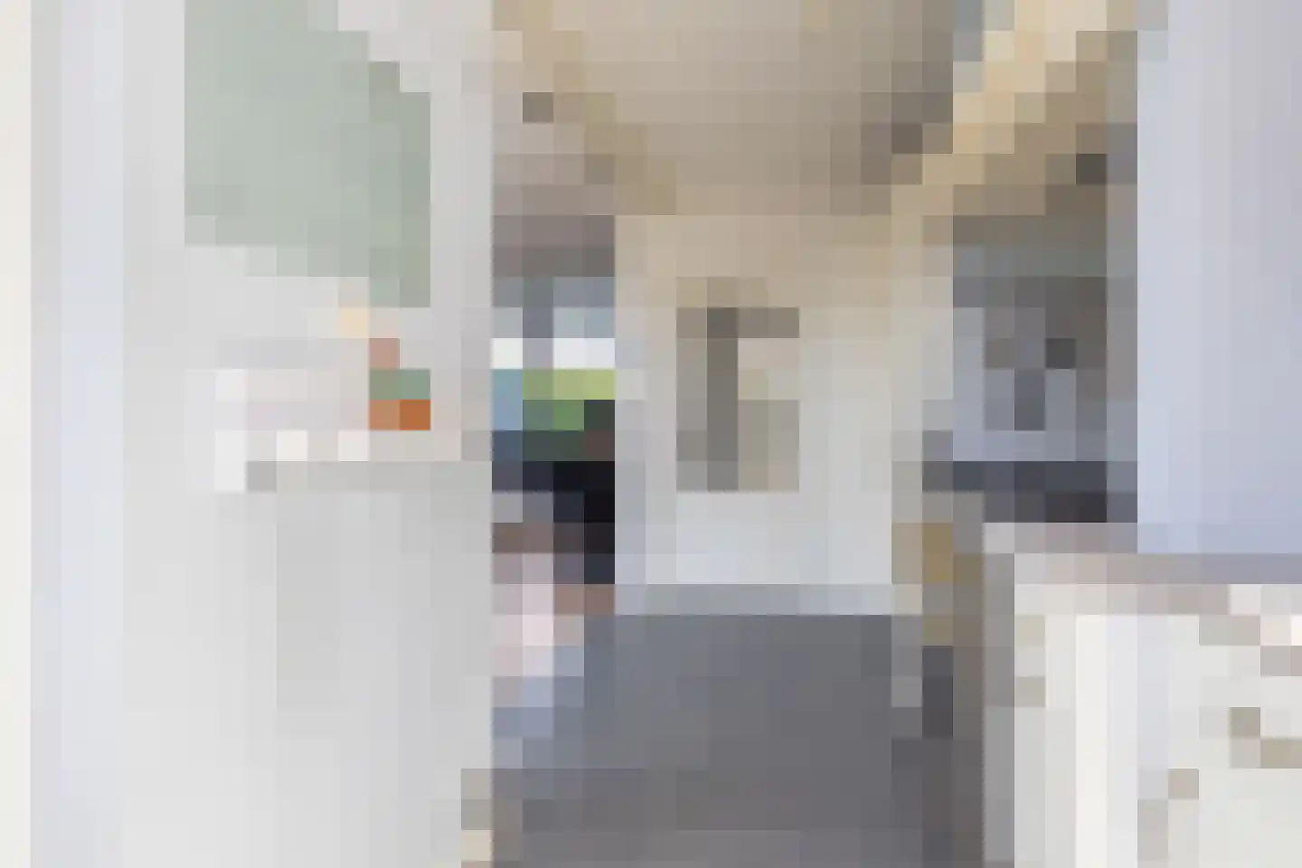 Jorisstraat 39 Breda thumbnail 30