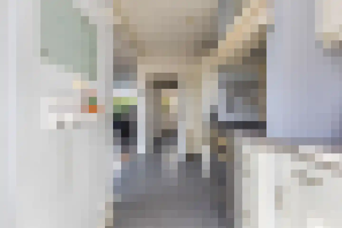 Jorisstraat 39 Breda thumbnail 32