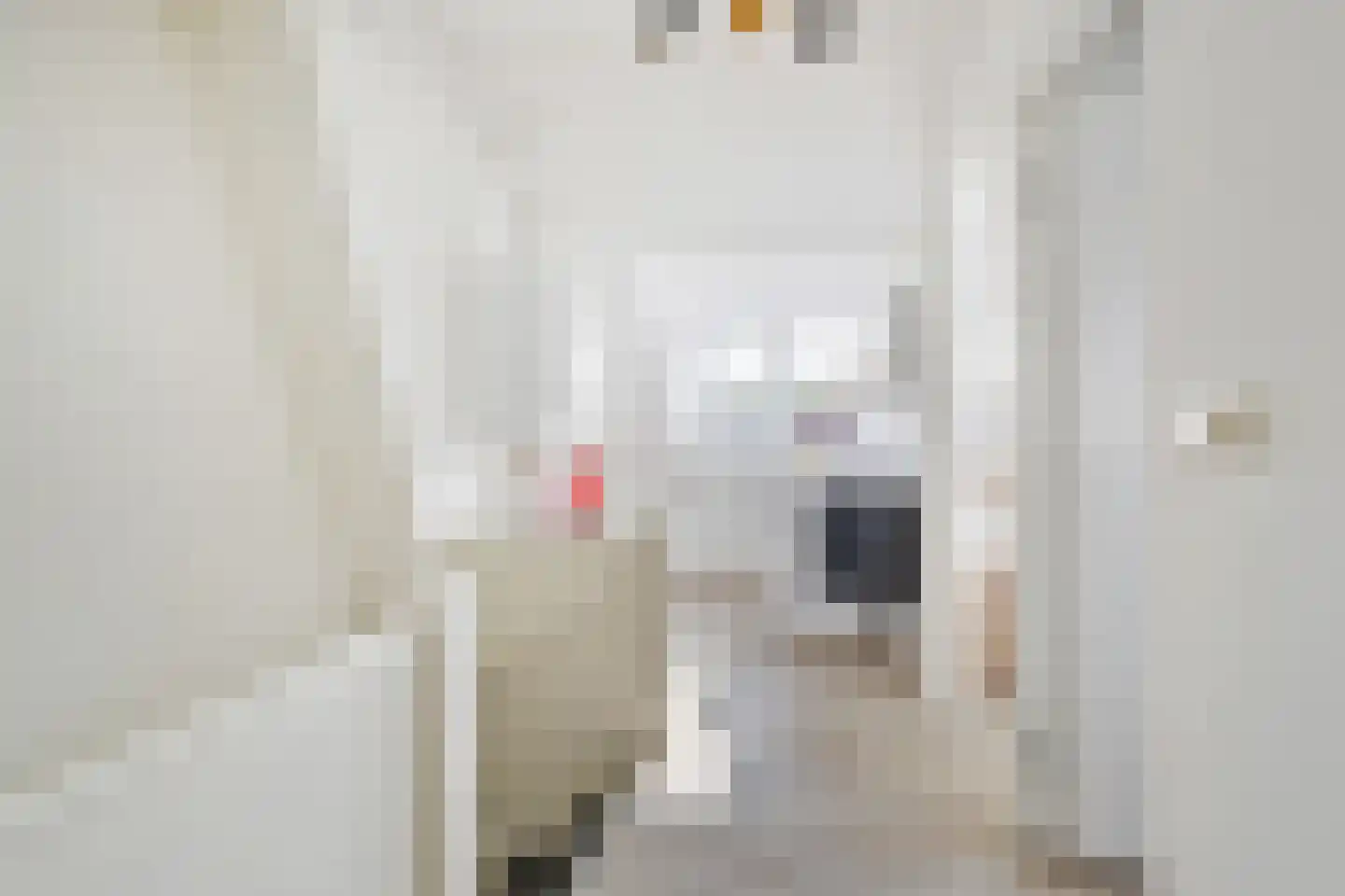 Jorisstraat 39 Breda thumbnail 44