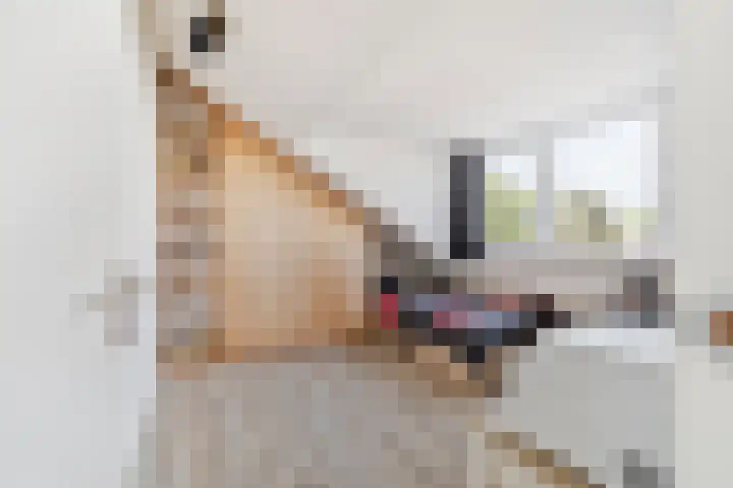 Jorisstraat 39 Breda thumbnail 46