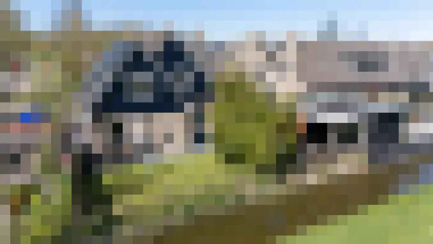 Jorit Martensstrjitte 4 Tzum thumbnail 37