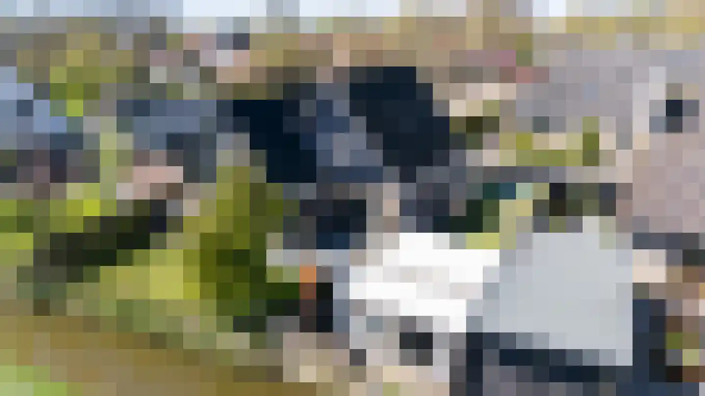 Jorit Martensstrjitte 4 Tzum thumbnail 38
