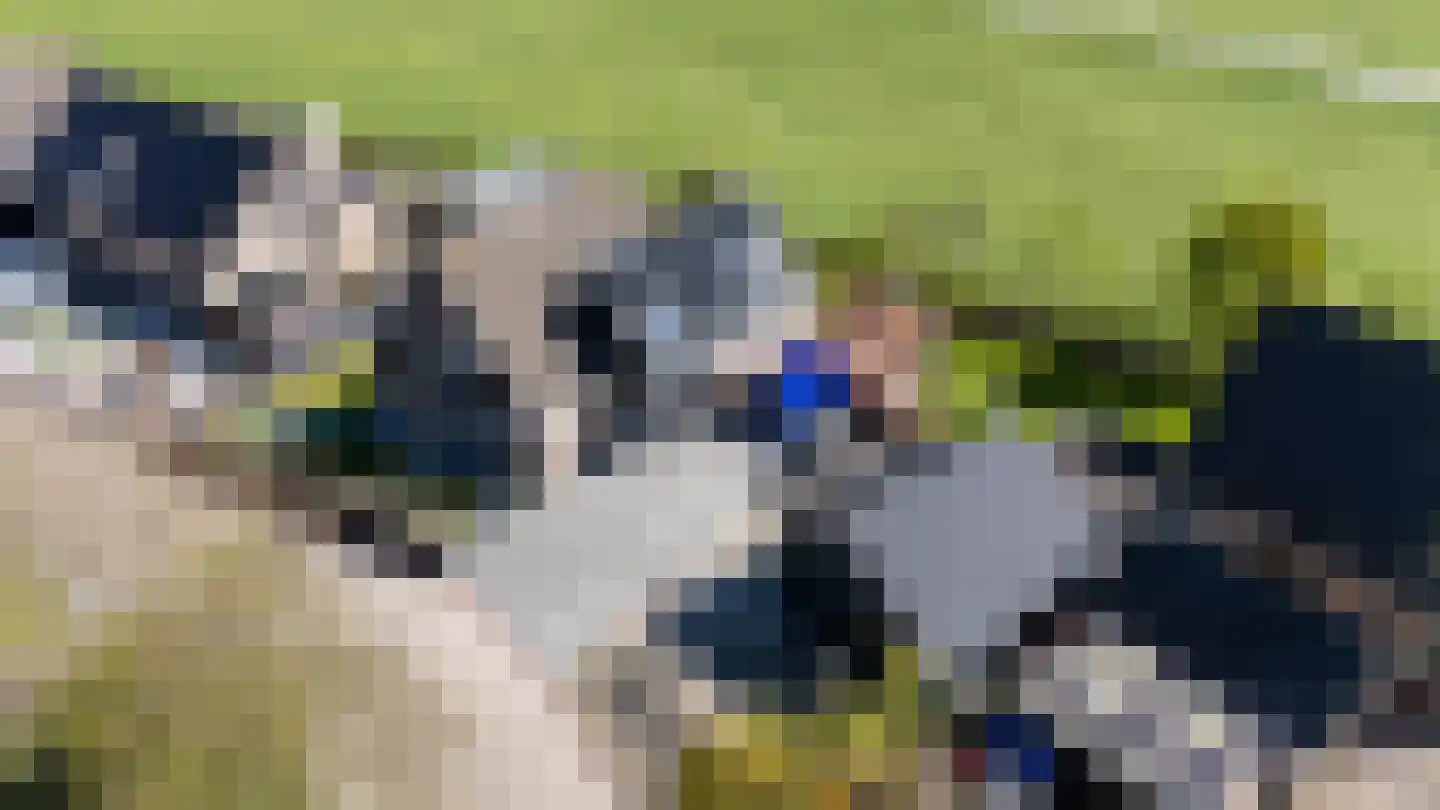 Jorit Martensstrjitte 4 Tzum thumbnail 4