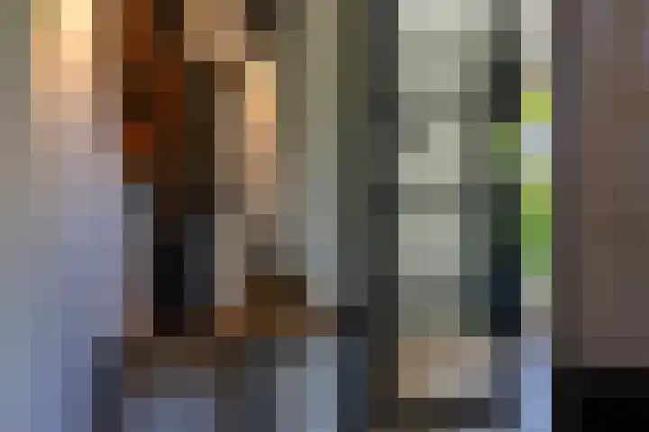 Jorrit Biermastrjitte 16 Dongjum thumbnail 11