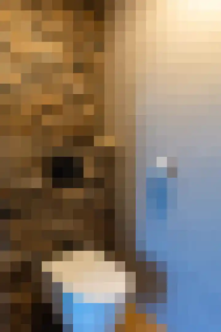 Jorrit Biermastrjitte 16 Dongjum thumbnail 12