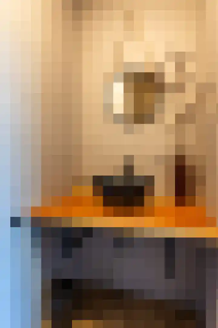 Jorrit Biermastrjitte 16 Dongjum thumbnail 13